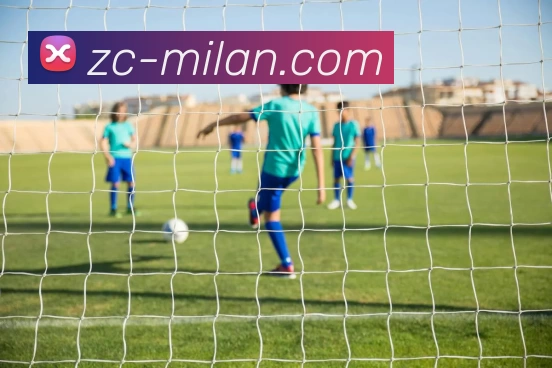 米兰体育入口发展历程